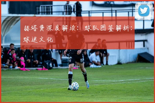 赫塔费深度解读：球队图鉴解析：球迷文化