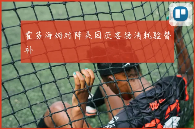 霍芬海姆对阵美因茨客场消耗验替补